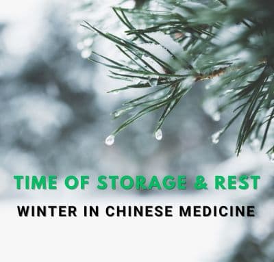 The Significance of Winter in Chinese Medicine: A Season of Storage and Rest